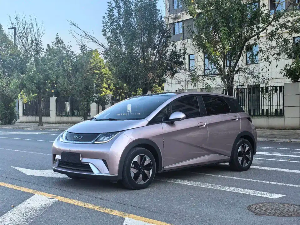 BYD Dolphin Glory Edition 420km Fashion Edition 2024
