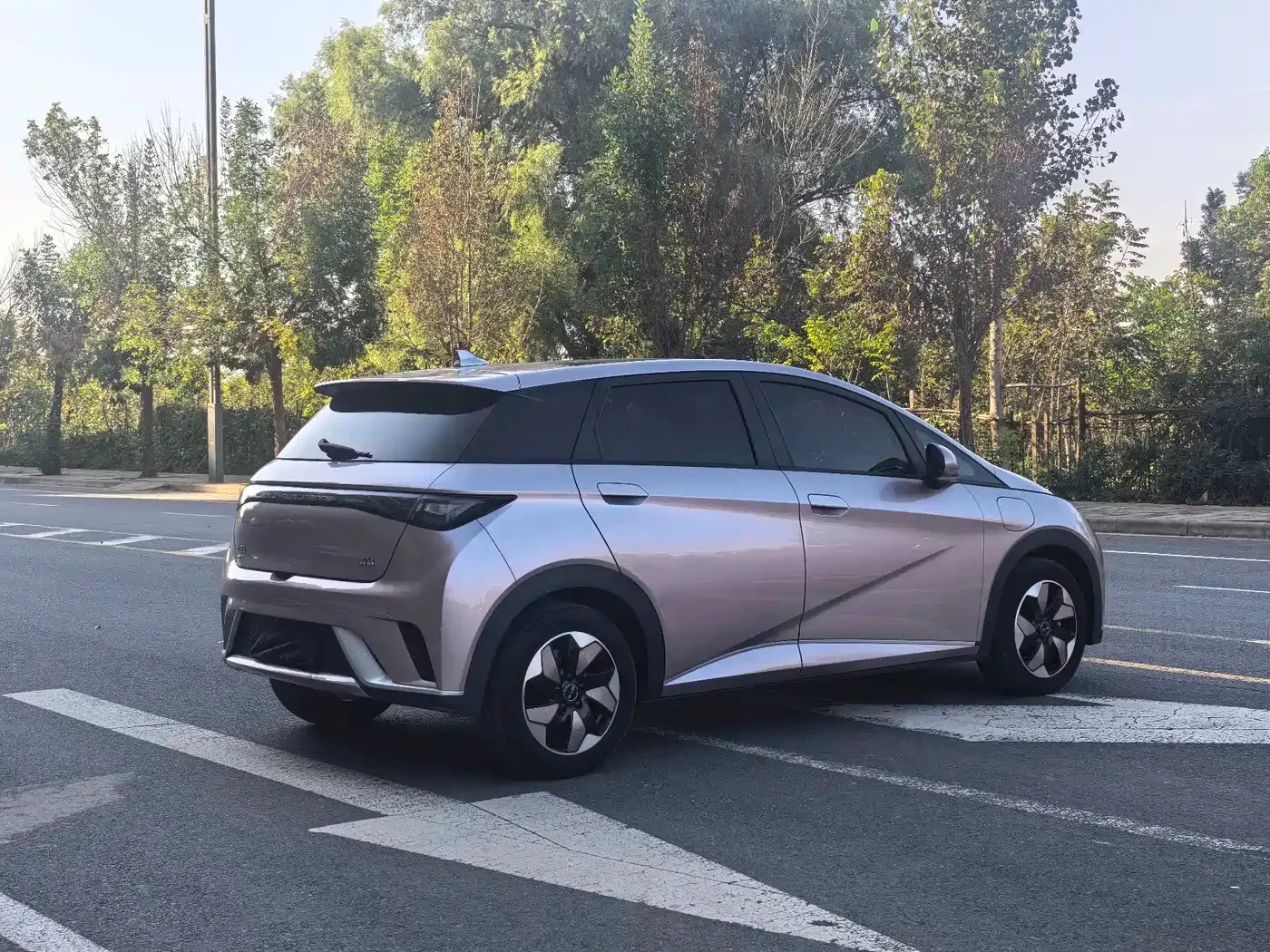BYD Dolphin Glory Edition 420km Fashion Edition 2024 — фото 6