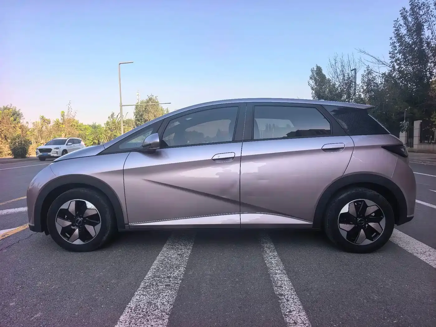 BYD Dolphin Glory Edition 420km Fashion Edition 2024 — фото 7