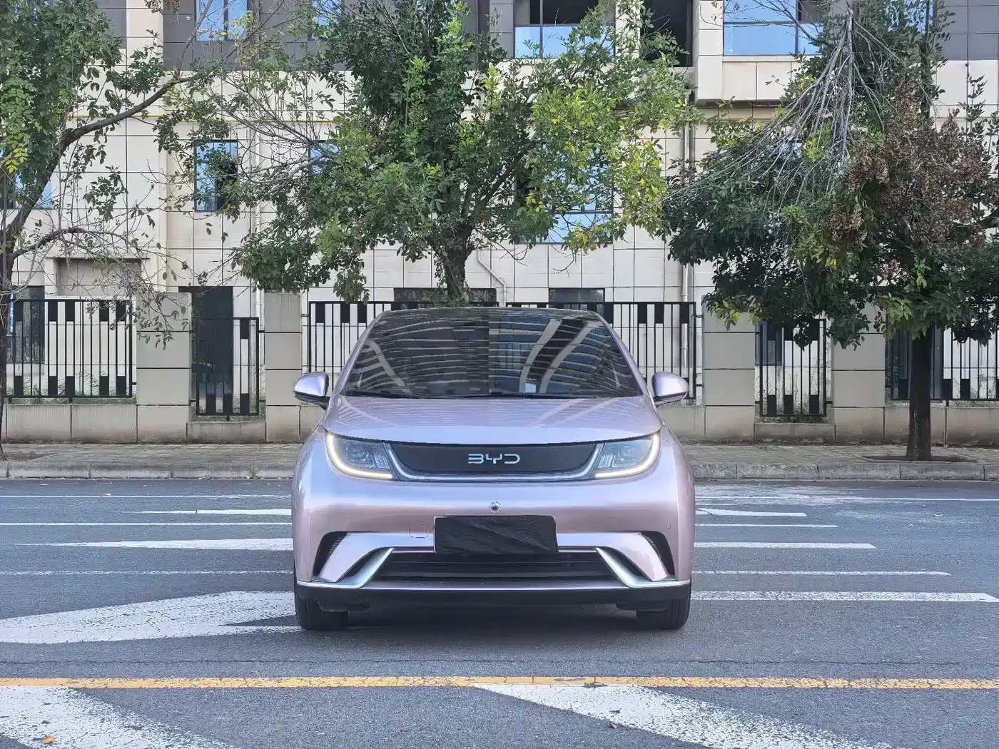 BYD Dolphin Glory Edition 420km Fashion Edition 2024 — фото 2