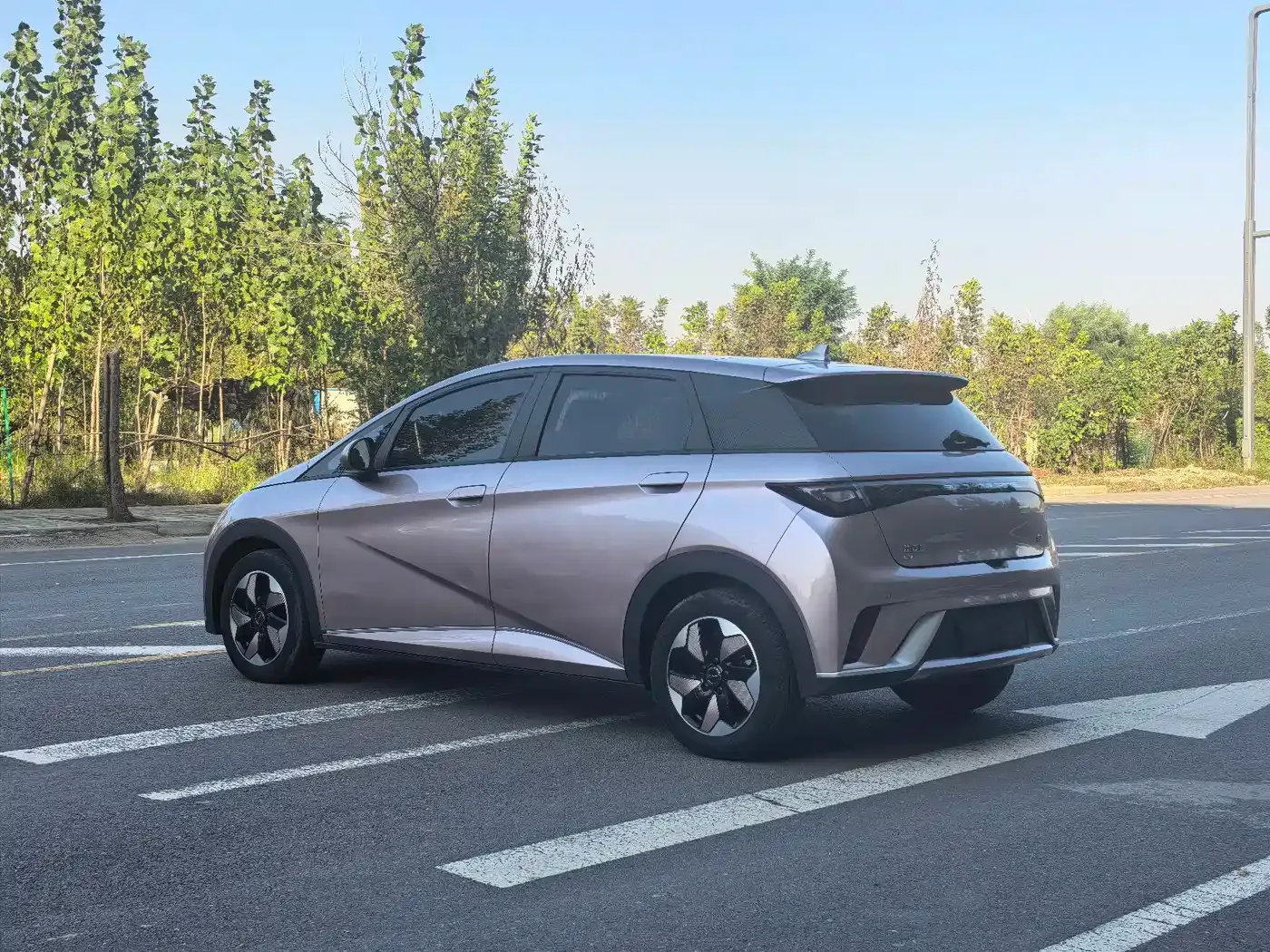 BYD Dolphin Glory Edition 420km Fashion Edition 2024 — фото 4
