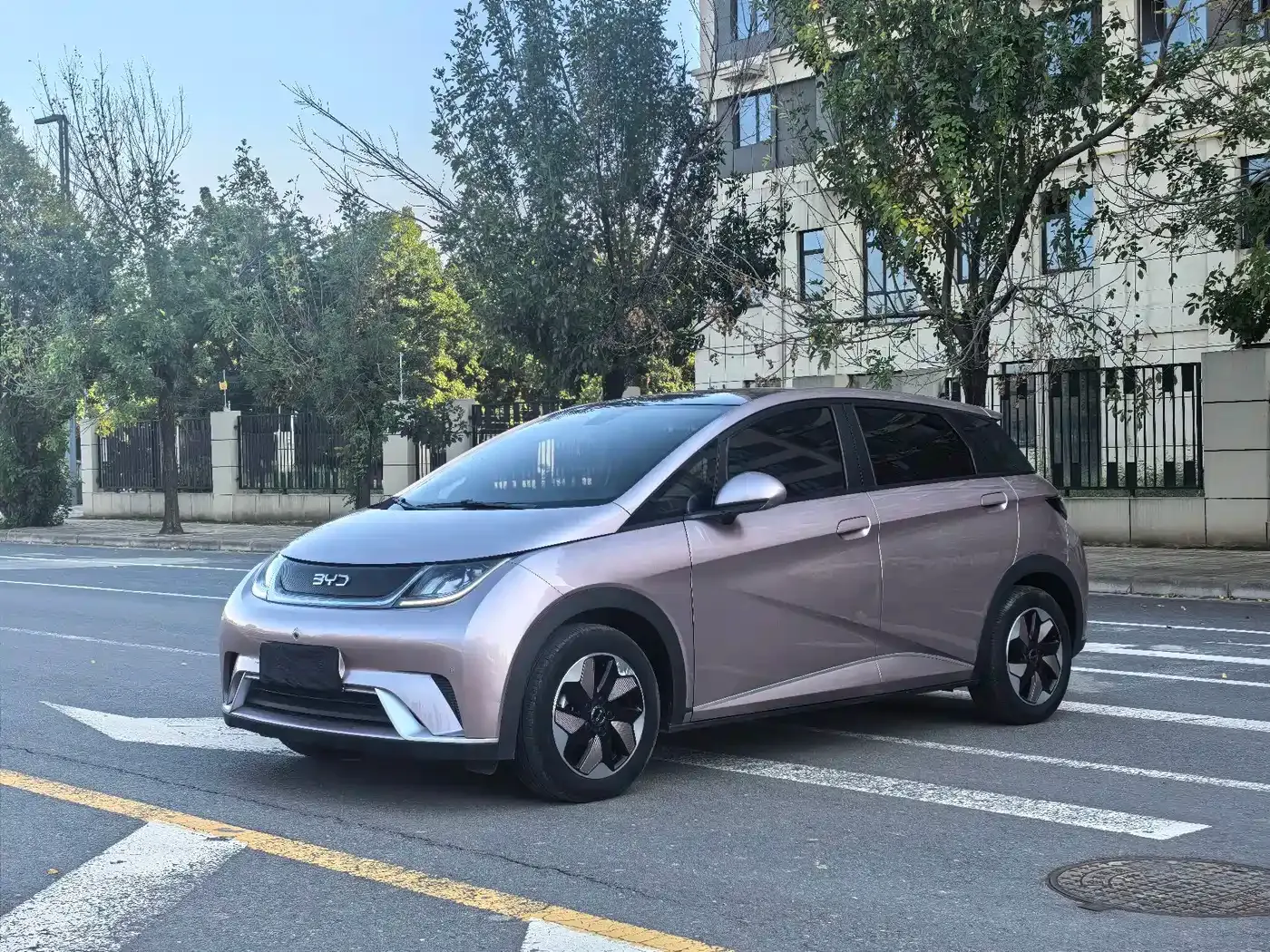 BYD Dolphin Glory Edition 420km Fashion Edition 2024