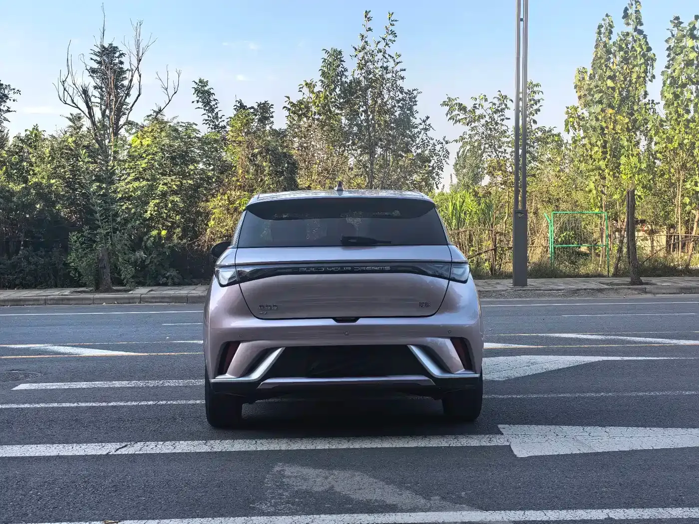 BYD Dolphin Glory Edition 420km Fashion Edition 2024 — фото 5