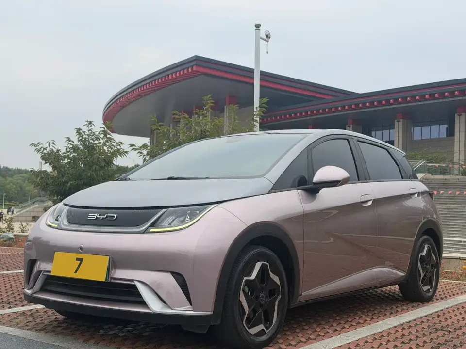 BYD Dolphin Model 405km Fashion Edition 2021