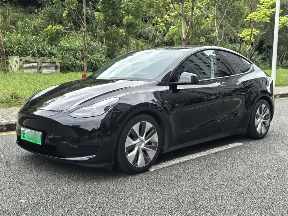 Tesla Model Y Rear-Wheel Drive Version 2022