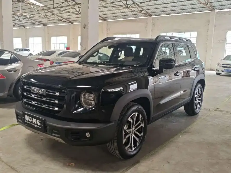 Haval Big Dog 1.5T DCT FWD Border Collie Edition 2023