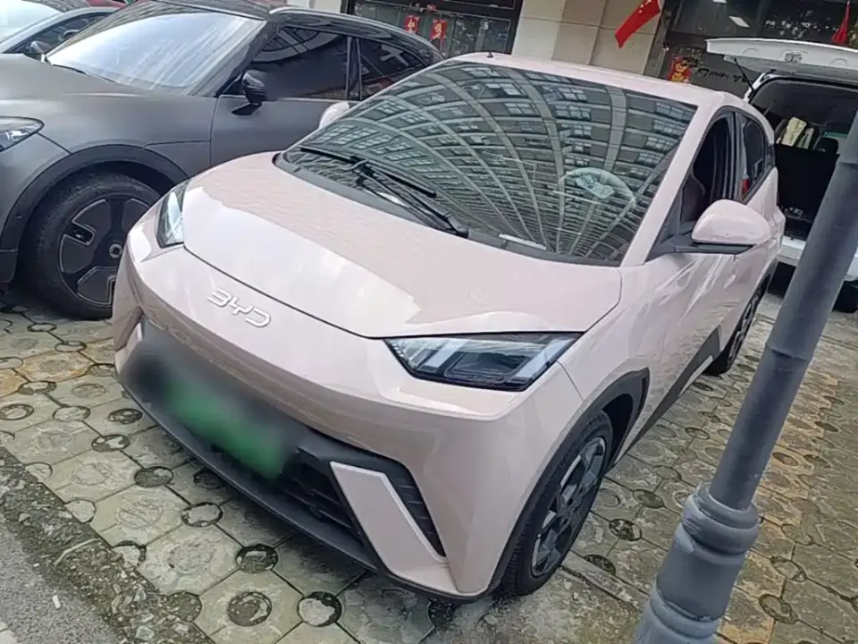 BYD Seagull 305km Freedom 2024