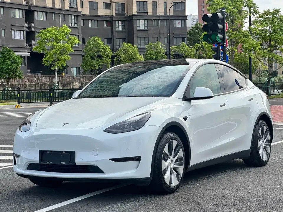 Tesla Model Y Long Range All-Wheel Drive 3D7 2021