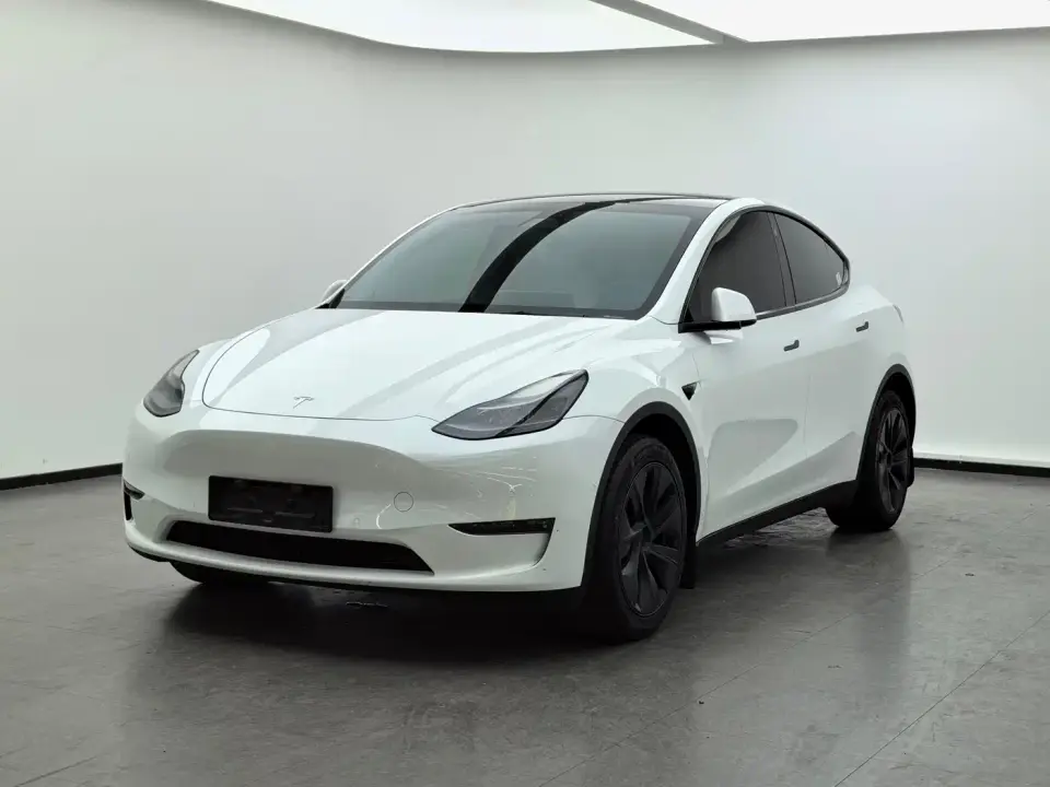 Tesla Model Y Long Range All-Wheel Drive Edition 2024