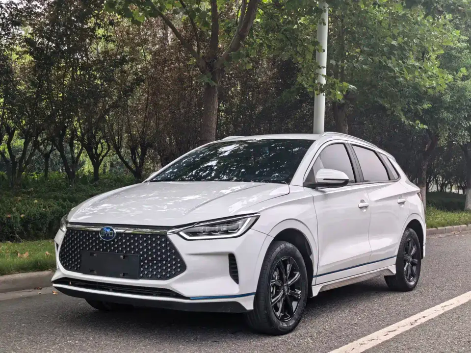 BYD e2 Luxury Edition 2021