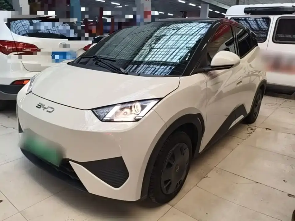 BYD Seagull 305km Vitality 2025