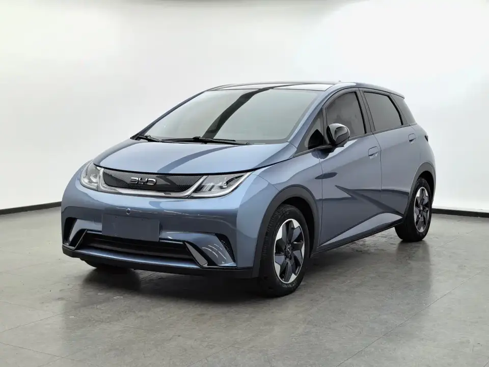 BYD Dolphin Glory Edition 420km Fashion Edition 2024