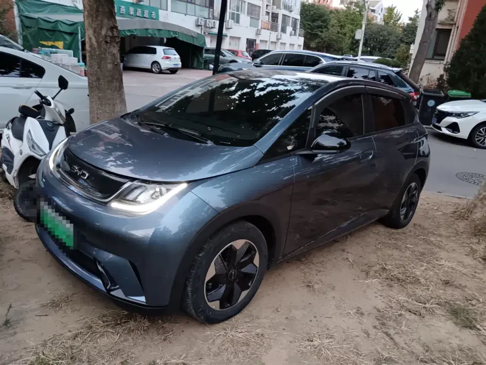 BYD Dolphin Glory Edition 420km Fashion Edition 2024