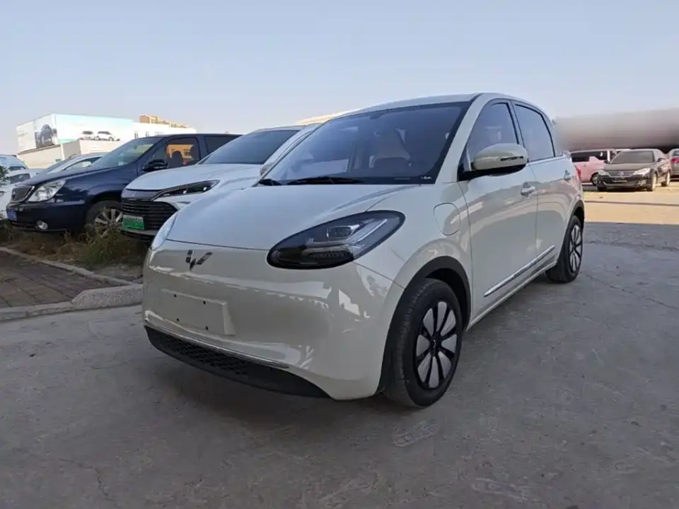 Wuling Motors Wuling Bingo 333km Comfort Edition 2024