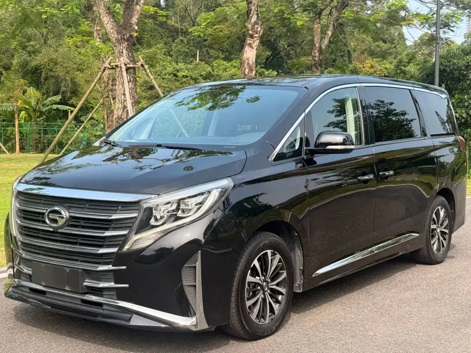 GAC Trumpchi M8 Leading Series 390T Premium Edition 2023