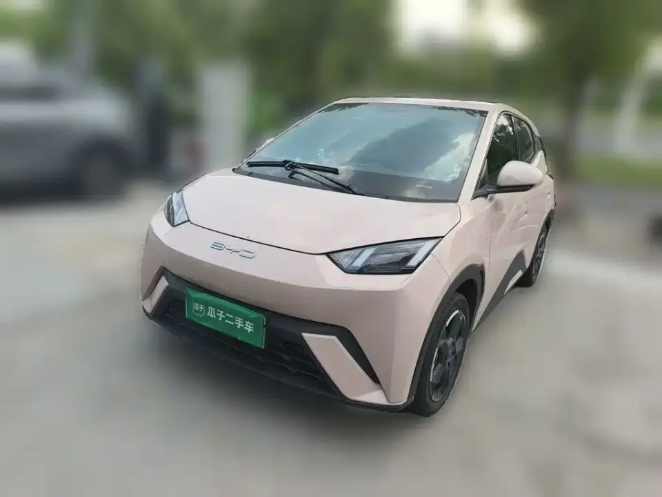 BYD Seagull Freedom Edition 2024