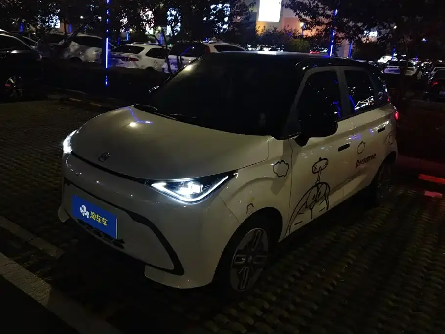 QQ New Energy Duomi 305km Comfort Edition 2025