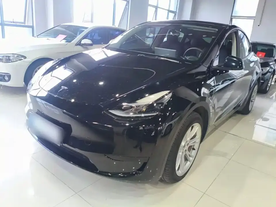 Tesla Model Y Rear-Wheel Drive Version 2022