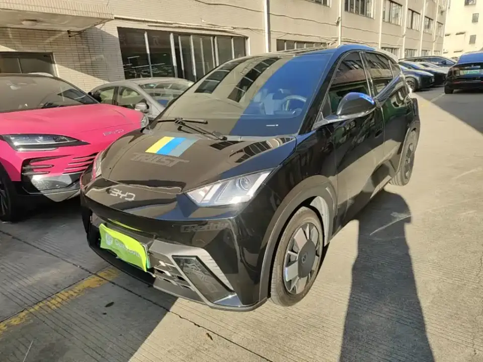 BYD Seagull 305km Vitality 2025