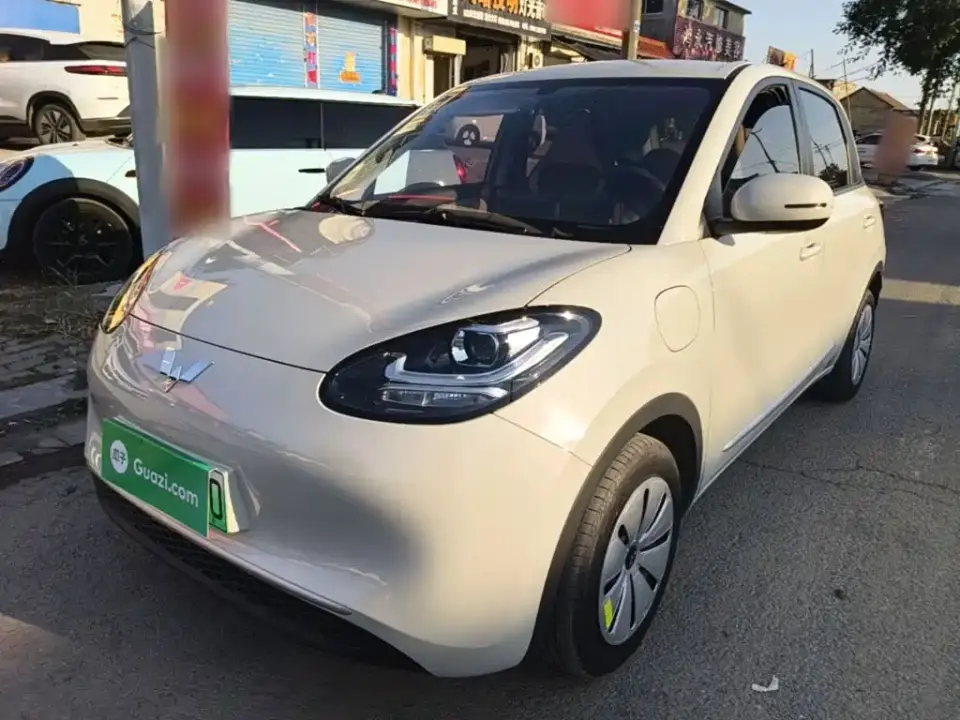 Wuling Motors Wuling Bingo 203km Lite Edition 2024