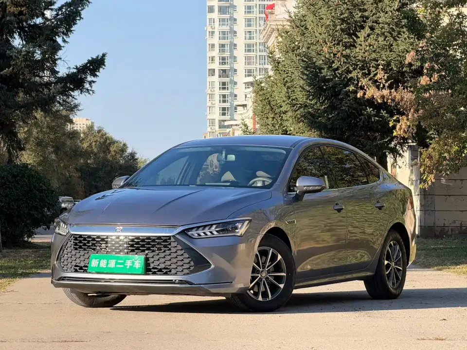 BYD Qin PLUS Glory Edition DM-i 55KM Leading 2024