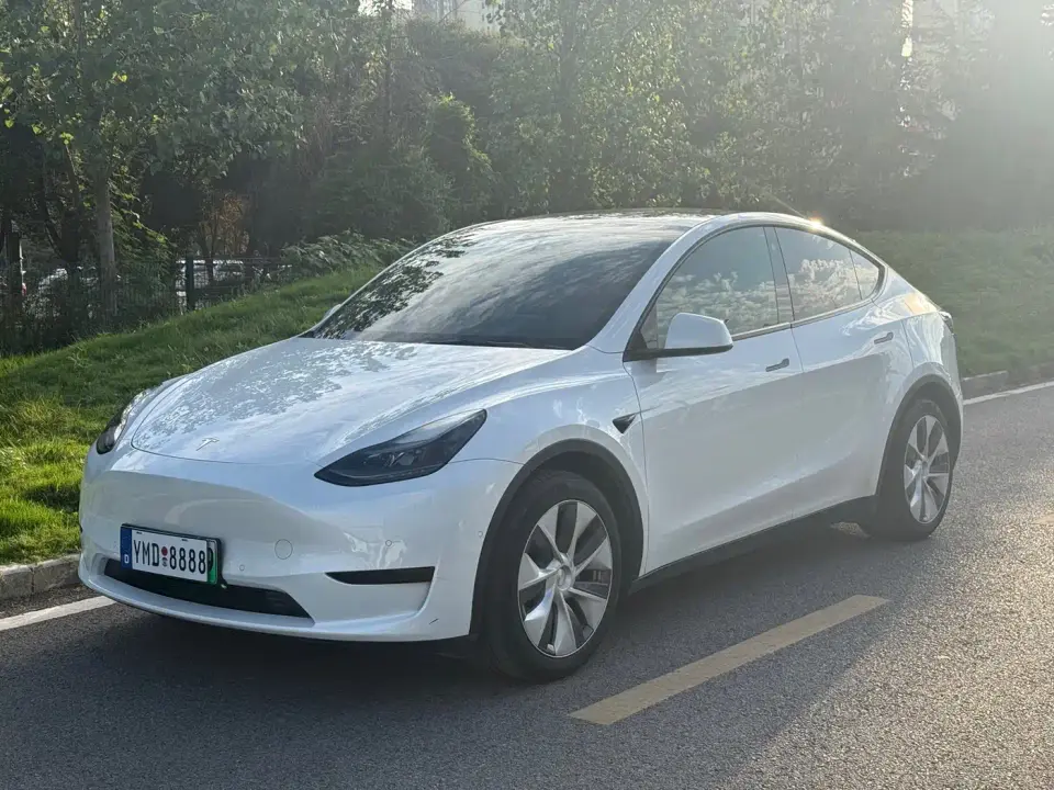 Tesla Model Y Rear-Wheel Drive Version 2022