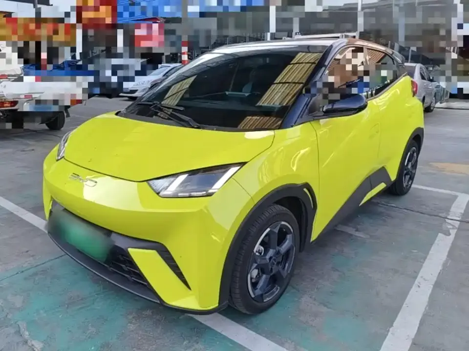 BYD Seagull Freedom Edition 2024