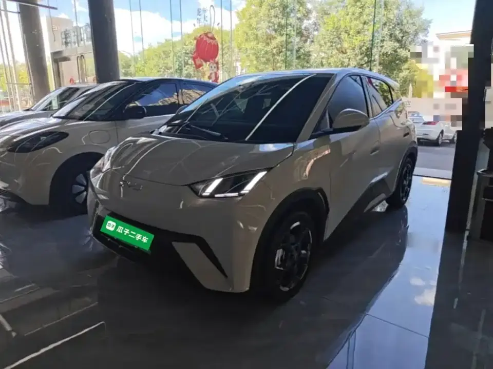 BYD Seagull 305km Freedom 2025