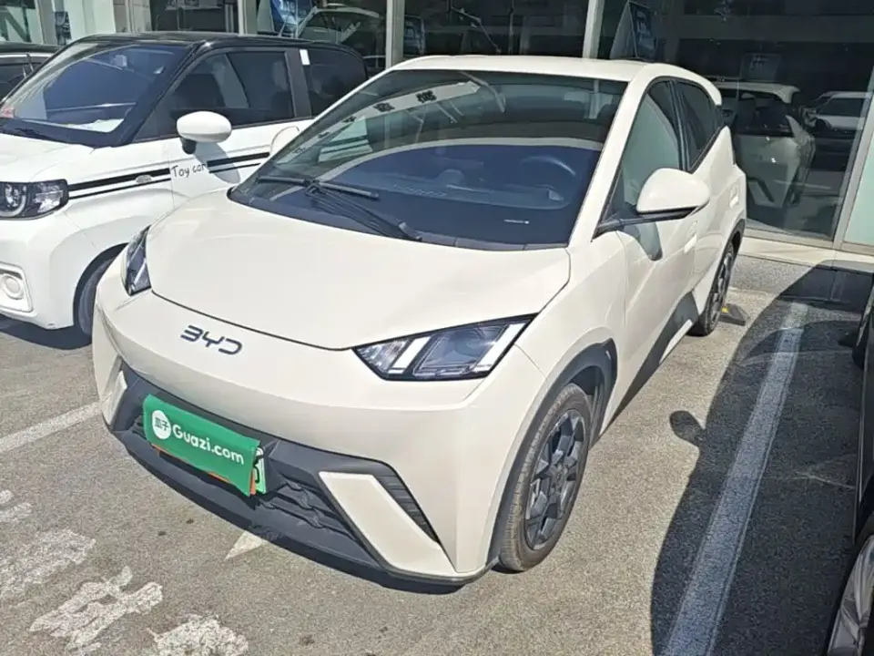 BYD Seagull Glory Edition 305km Vitality Edition 2024