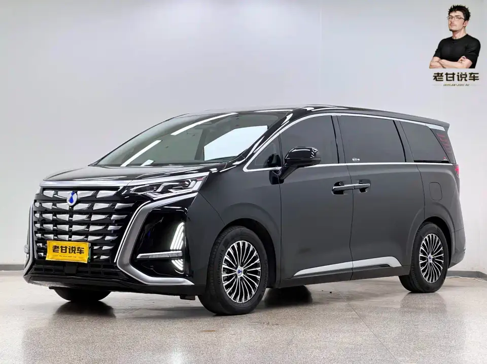 Denza D9 DM-i 970 AWD Flagship 2024