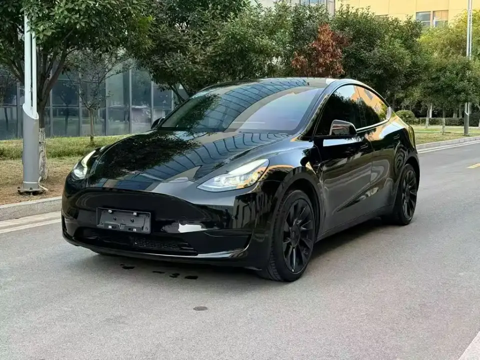 Tesla Model Y Rear-Wheel Drive Version 2022