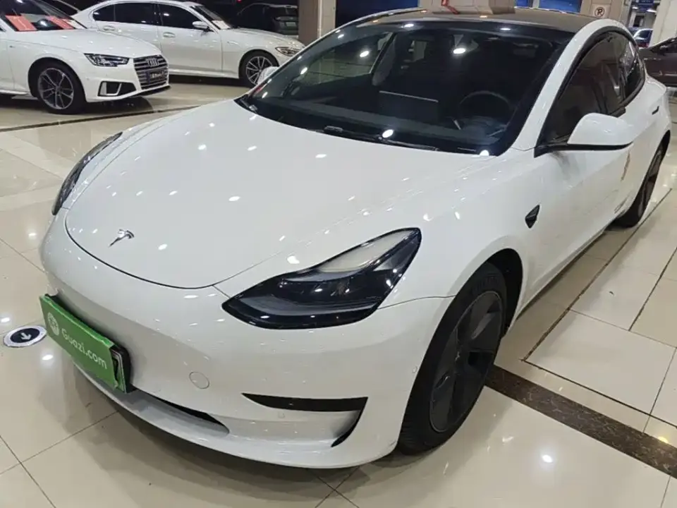 Tesla Model 3 Model Rear-Wheel Drive Version 2022