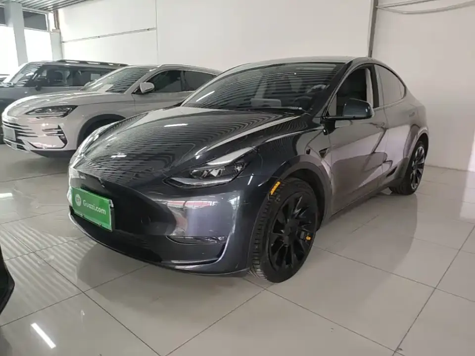 Tesla Model Y Long Range AWD 2024