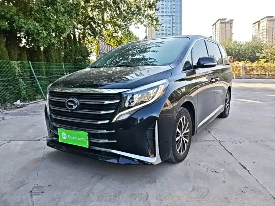 GAC Trumpchi M8 Leading Series 390T Premium Edition 2024