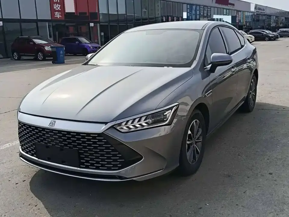 BYD Qin PLUS Glory Edition DM-i 55KM Leading 2024