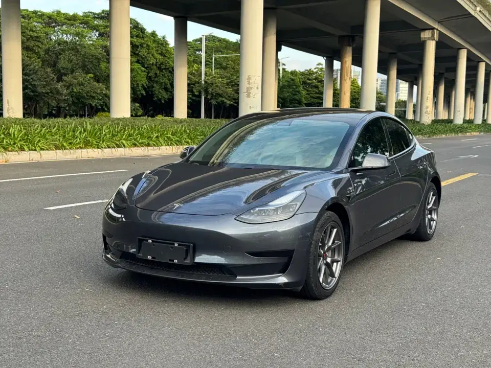 Tesla Model 3 Model Rear-Wheel Drive Version 2023