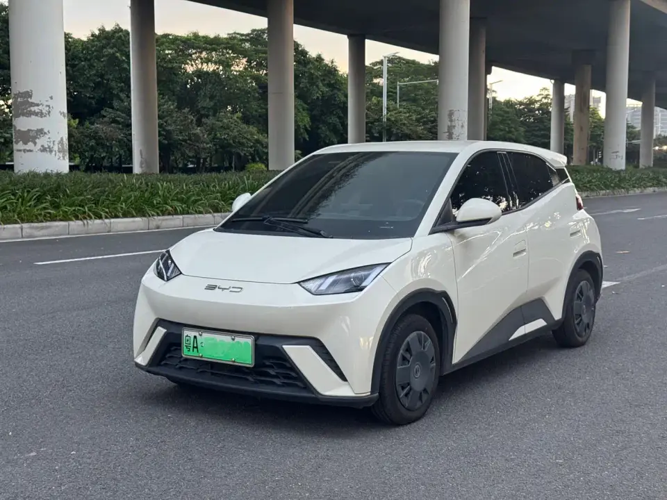 BYD Seagull Vitality Edition 2024