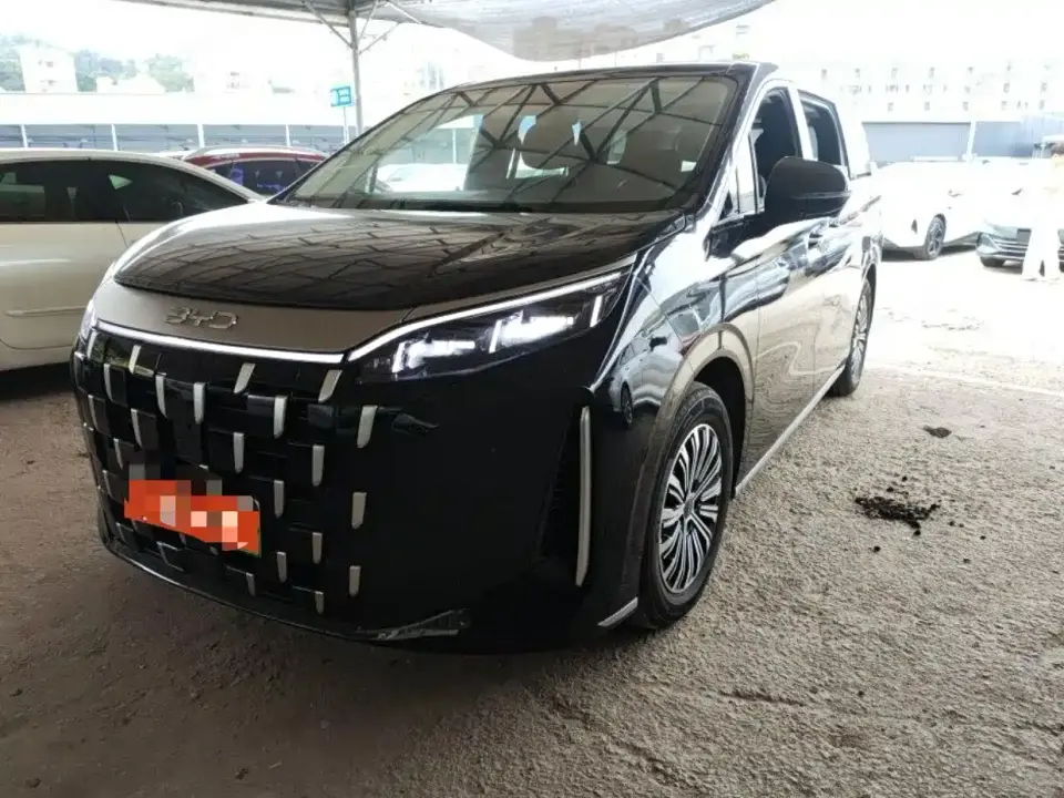 BYD M9 Model 1060 Pilot Edition 2025