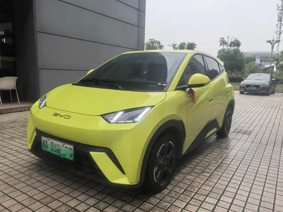 BYD Seagull Vitality Edition 2024