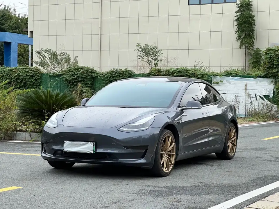 Tesla Model 3 Standard Range Rear-Wheel Drive Upgrade 2020