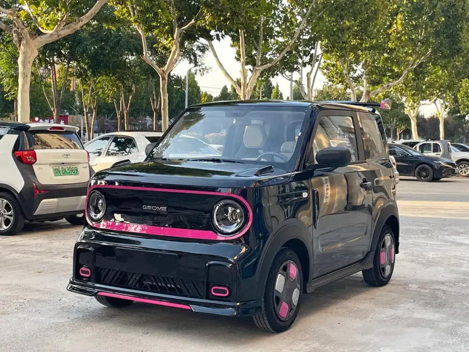 Geely Galaxy Panda Model Year 210km Panda Kart 2026