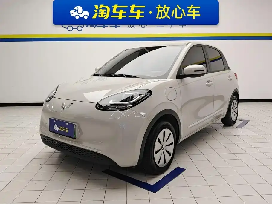 Wuling Motors Wuling Bingo 203km Lite Edition 2024