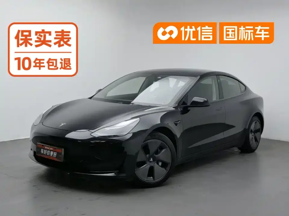 Tesla Model 3 Standard Range Rear-Wheel Drive Upgrade 3D6 2021