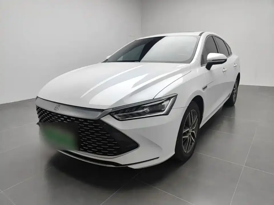 BYD Qin PLUS Champion Edition DM-i 55KM Surpassing 2023