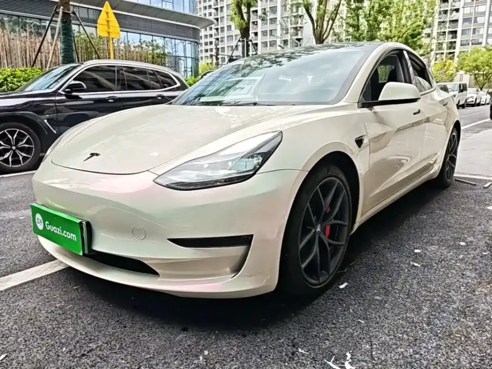 Tesla Model 3 Performance High-Performance All-Wheel Drive 3D6 2021