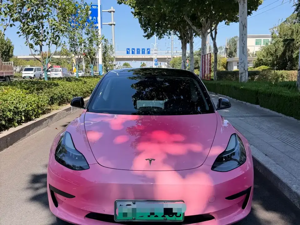 Tesla Model 3 Model Rear-Wheel Drive Version 2022