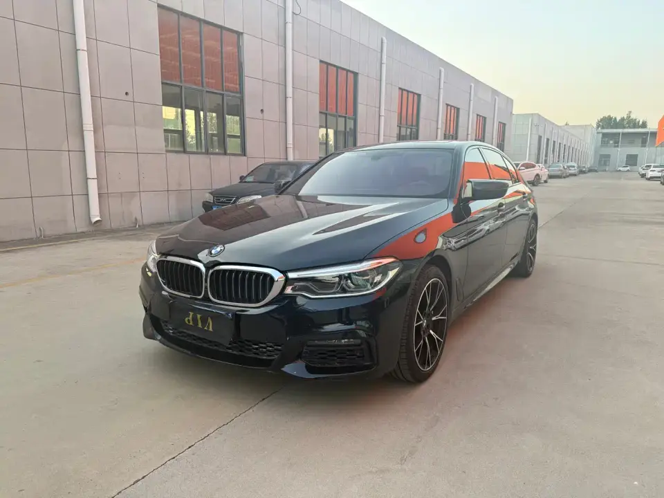 BMW 5 Series 530Li Leading M Sport Package 2019