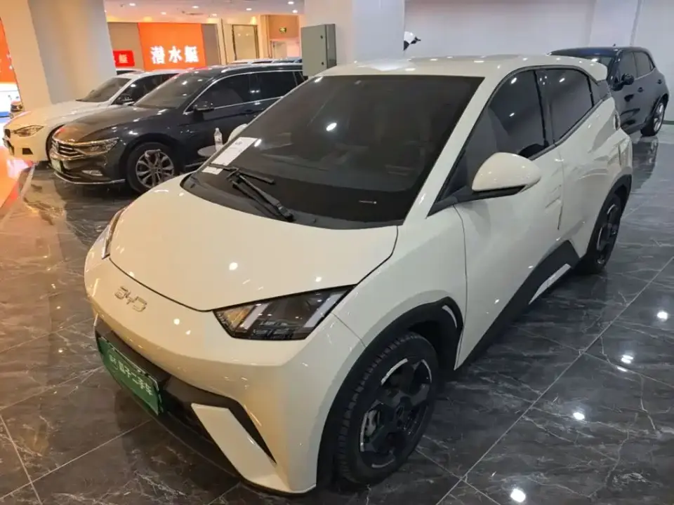 BYD Seagull Freedom Edition 2024