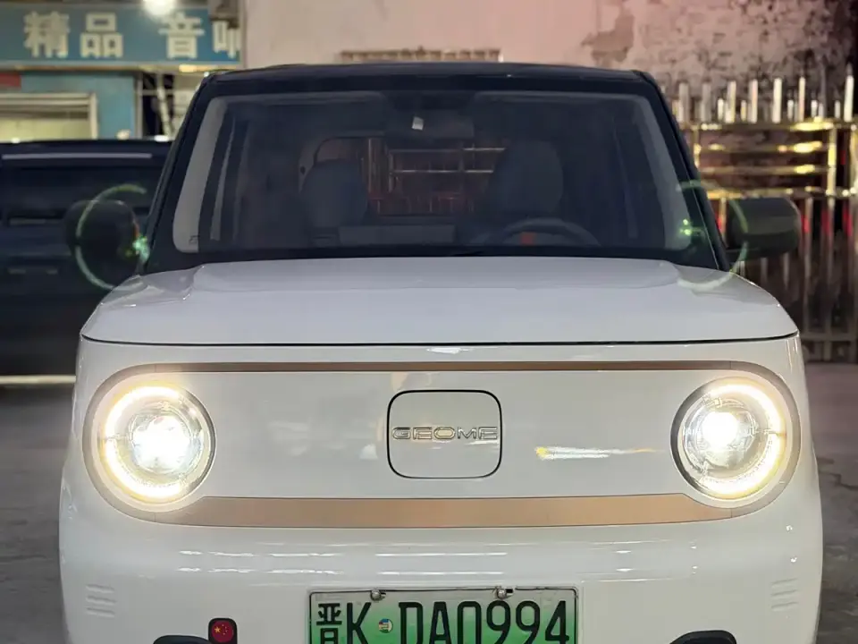 Geely Galaxy Panda Panda Mini 200km Endurance Bear 2024