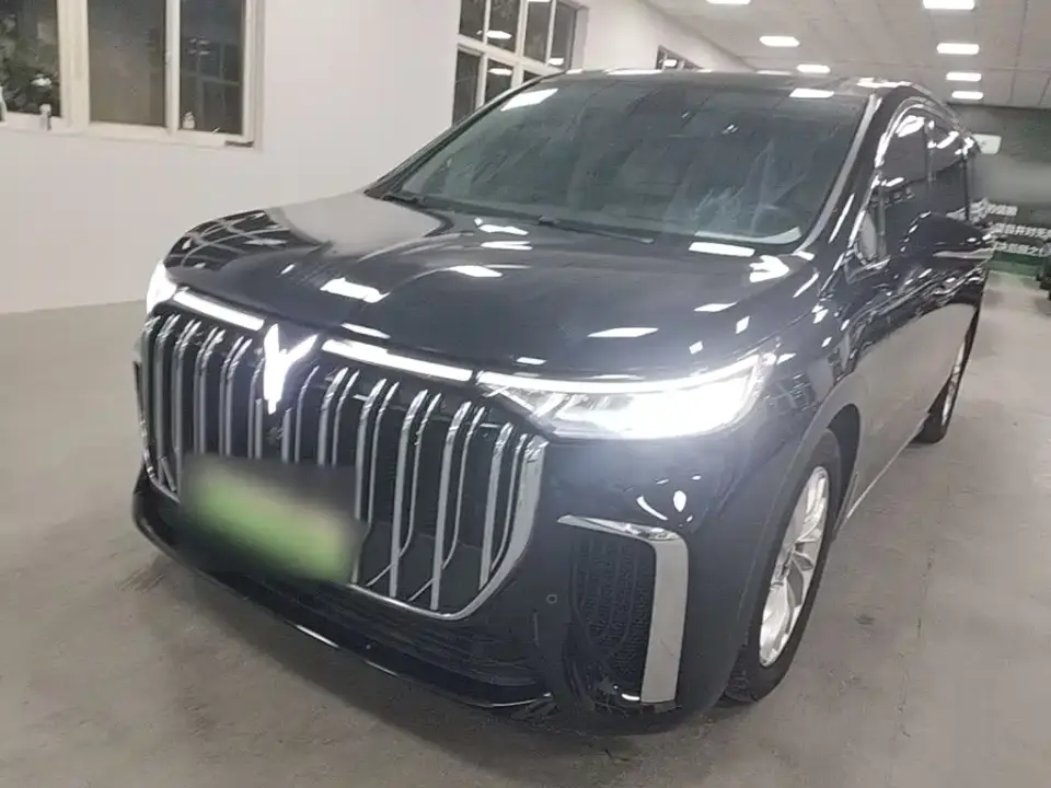 Voyah Auto Voyah Dreamer Low Carbon Edition Home 2023